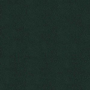 Материал: Ричмонд (Richmond), Цвет: richmond bottle green
